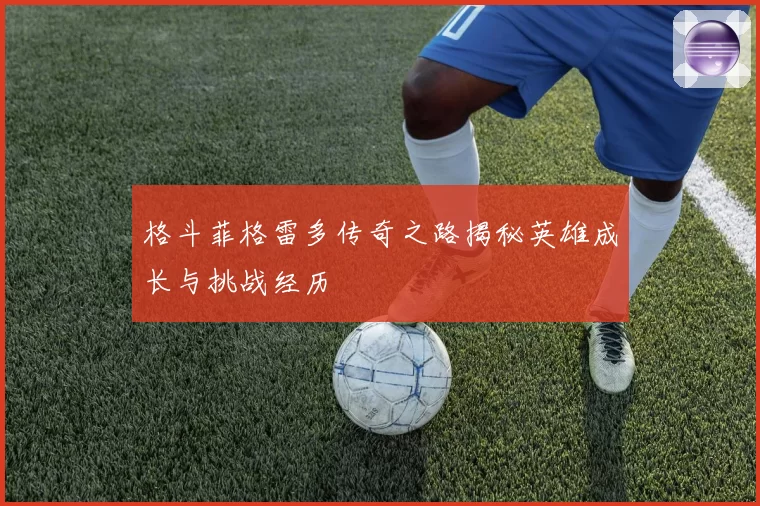 格斗菲格雷多传奇之路揭秘英雄成长与挑战经历