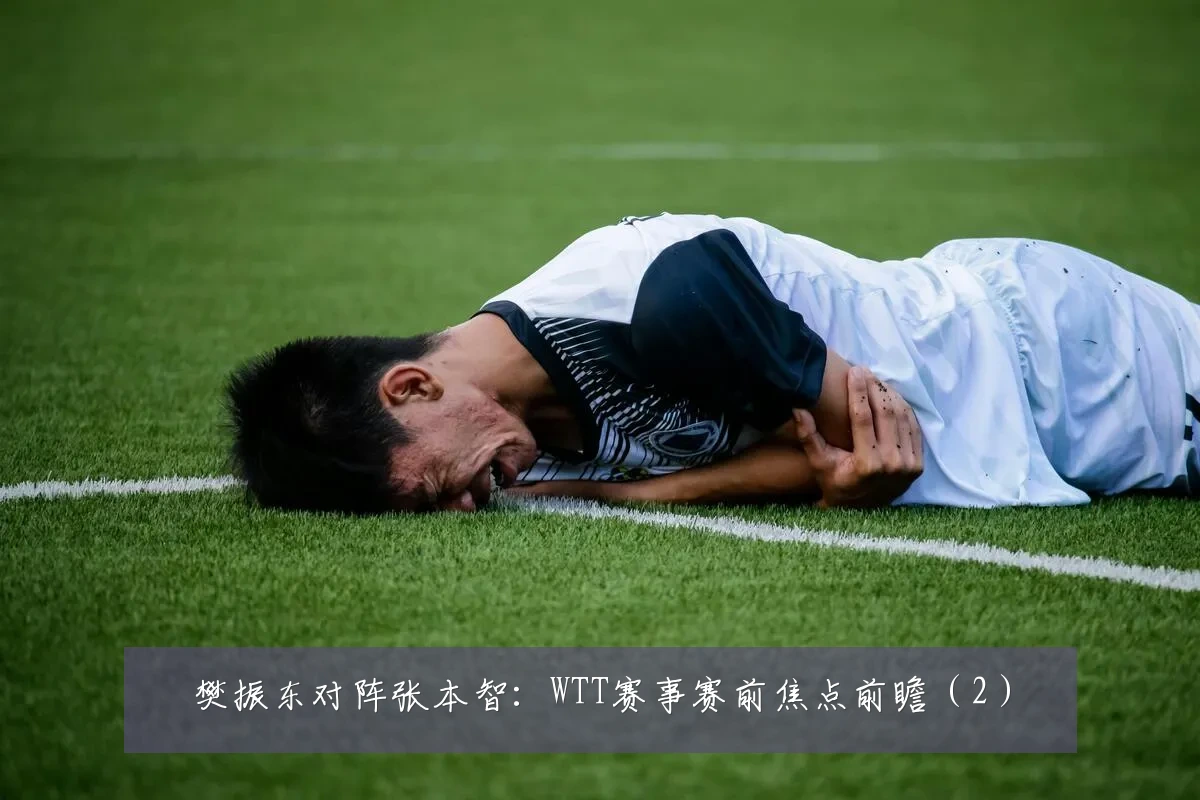 樊振东对阵张本智:WTT赛事赛前焦点前瞻(2)
